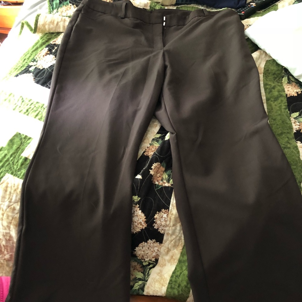 Brown dress pant